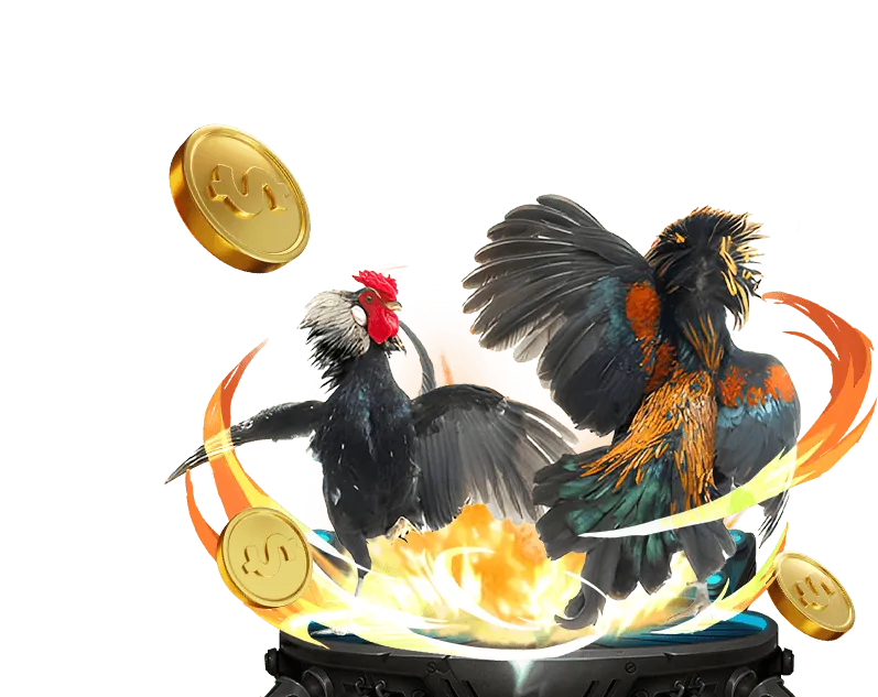 Hoàn trả hàng ngày P3BET